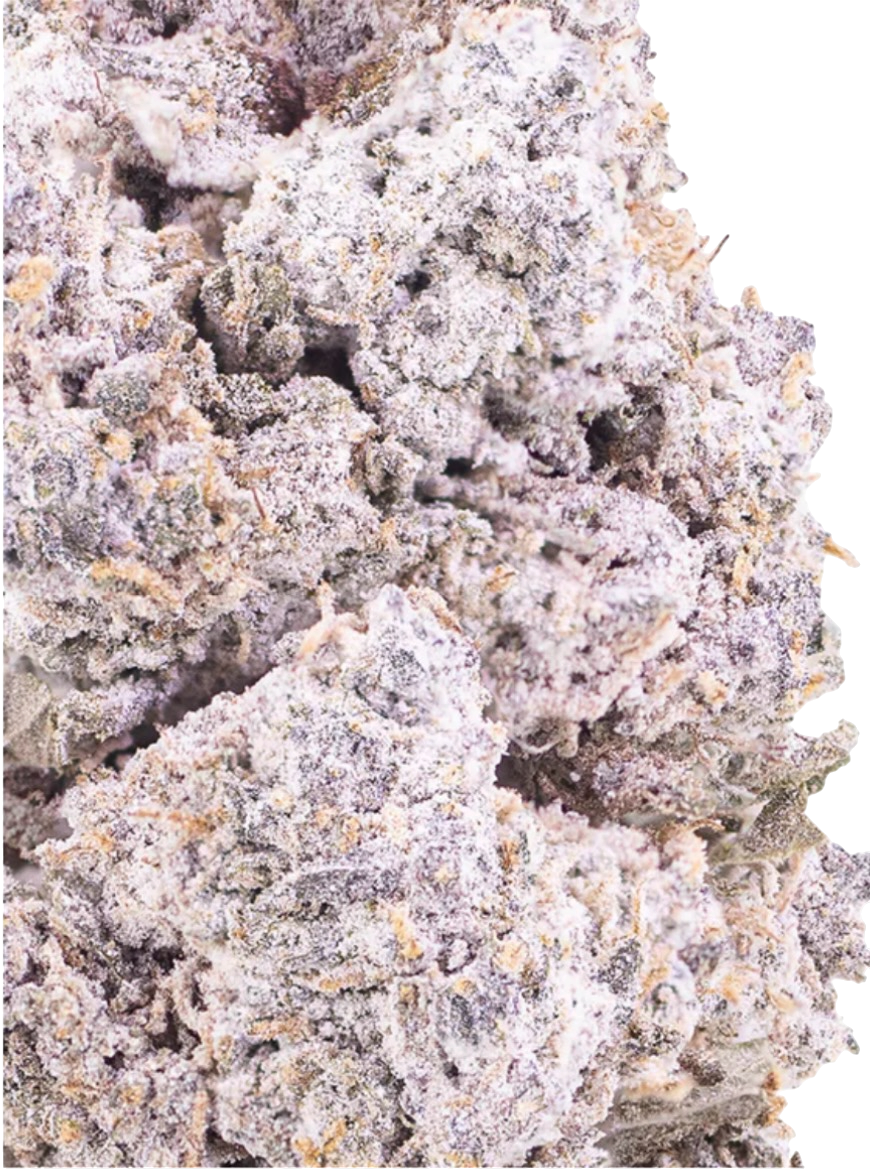 Hemp Flower | KittyKat THCA | 24% HempStash