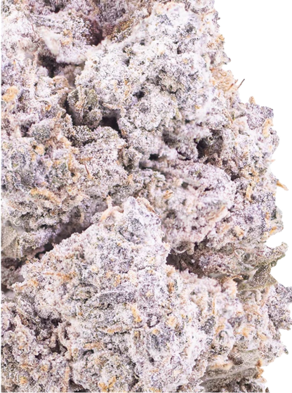 Hemp Flower | KittyKat THCA | 24% HempStash