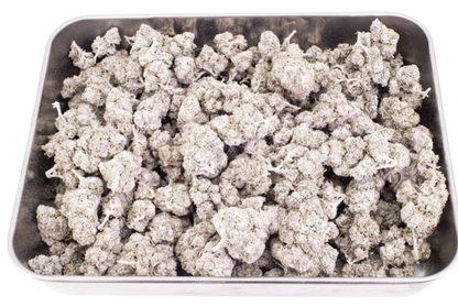 Hemp Flower | KittyKat THCA | 24% HempStash