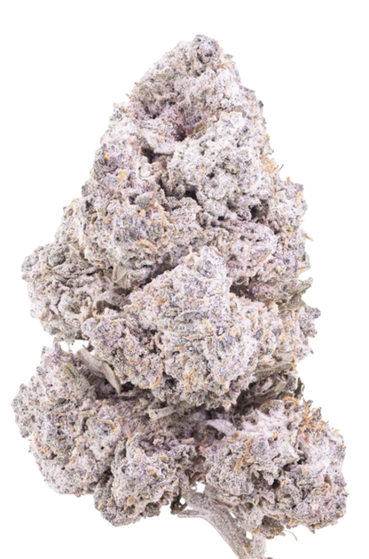 Hemp Flower | KittyKat THCA | 24% HempStash